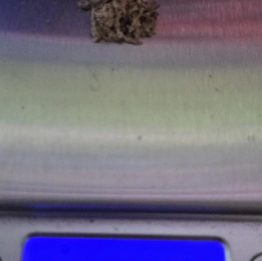 2 Broken 14k Gold Neclaces - Picture 12 of 13